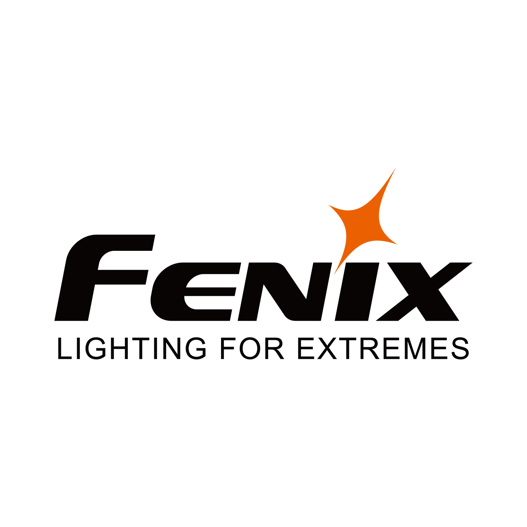 Fenix-logoblack-01